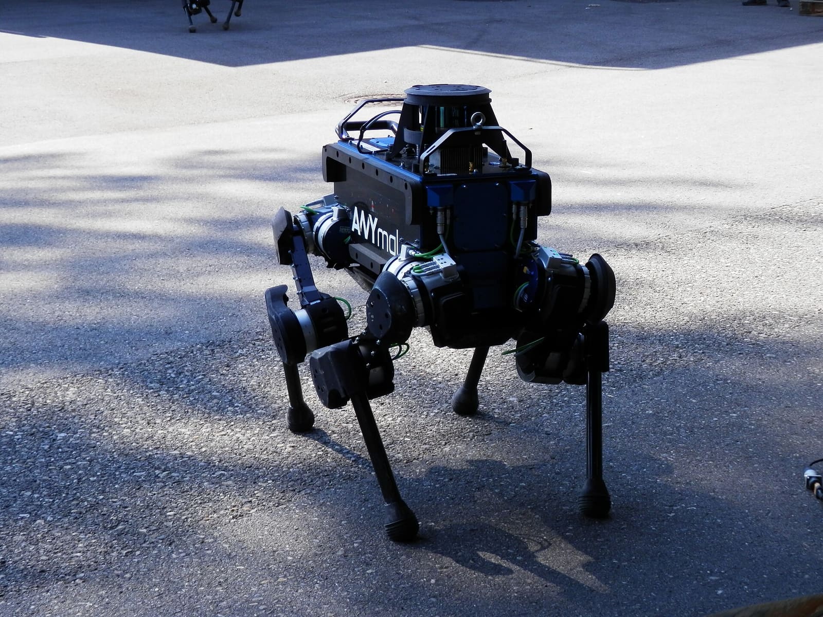 ANYmal four-legged robot on asphalt, similar to RAIBO2
