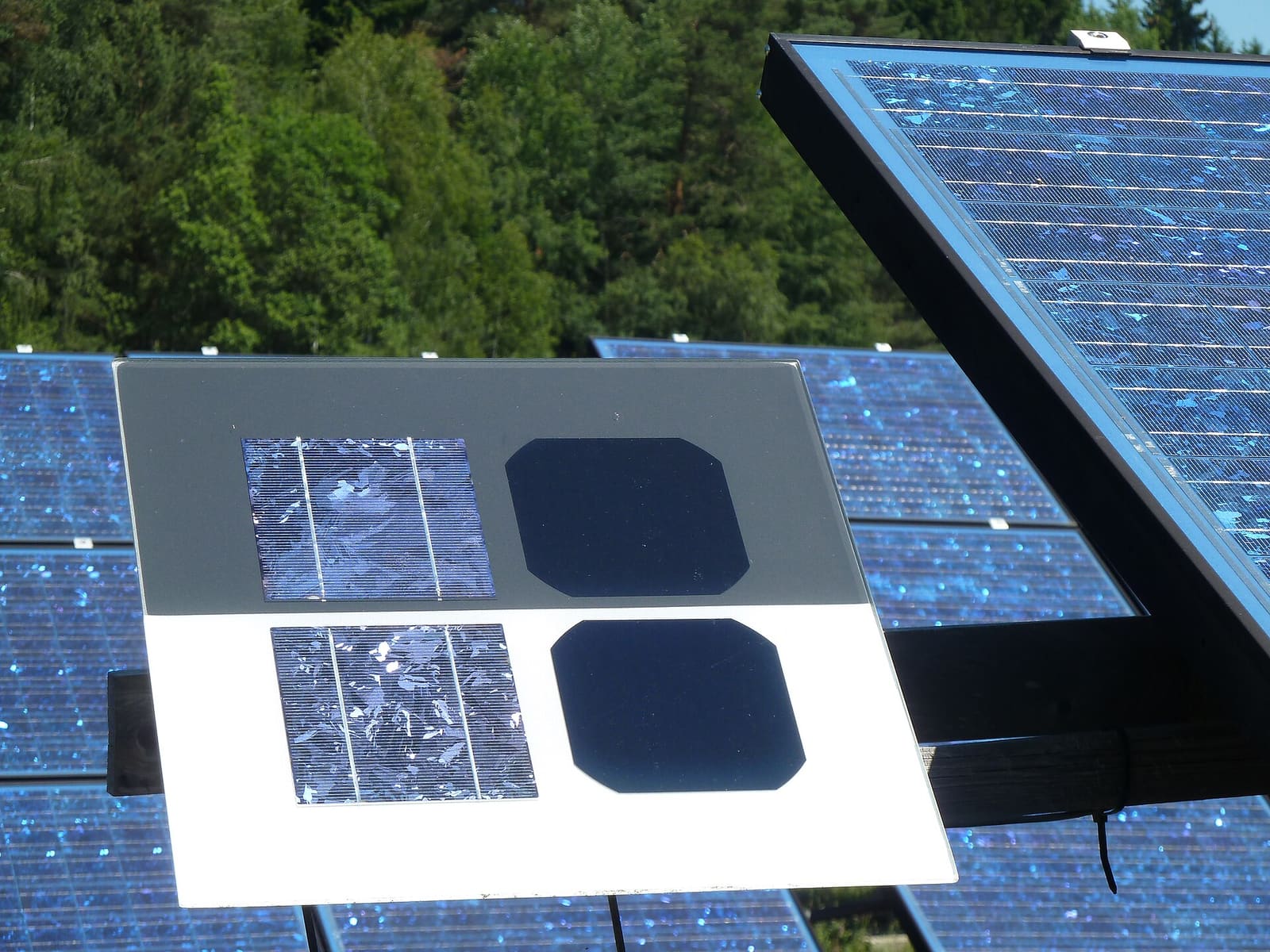 Two silicon solar cells side by side, one monocrystalline and one polycrystalline
