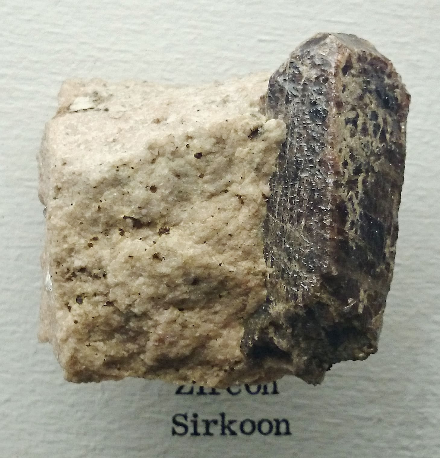 A dark zircon crystal set in pale rock, on display in a museum